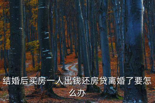 夫妻一方還房貸離婚怎么辦，結(jié)婚后買房一人出錢(qián)還房貸離婚了要怎么辦