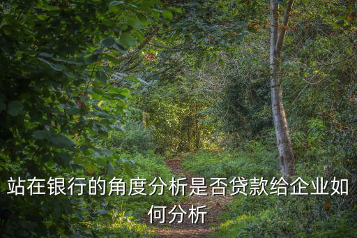 站在銀行的角度分析是否貸款給企業(yè)如何分析