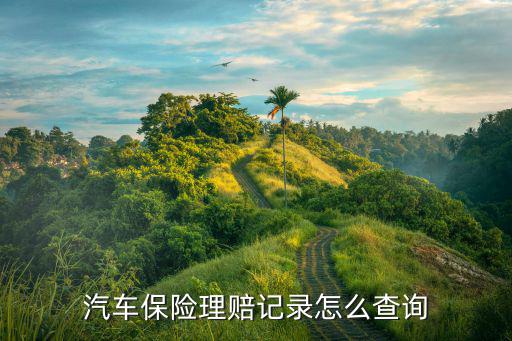 汽車保險(xiǎn)理賠記錄怎么查詢
