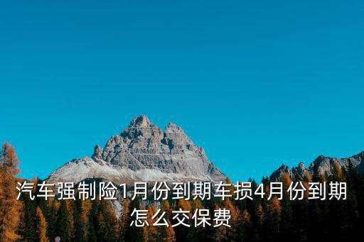車輛保險到期怎么交，去年買的車子保險馬上到期了怎么交保險
