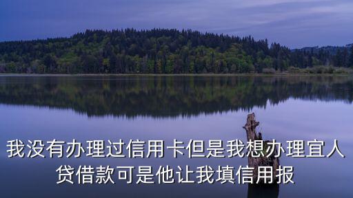 我沒有辦理過信用卡但是我想辦理宜人貸借款可是他讓我填信用報