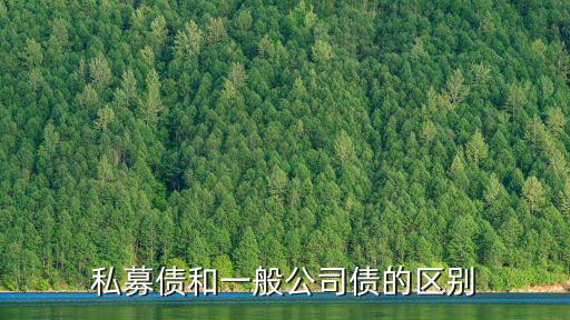 私募債和一般公司債的區(qū)別