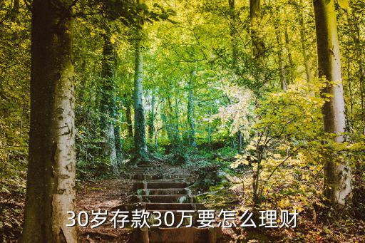 30歲以內(nèi)怎么理財(cái)，30歲怎么樣理財(cái)