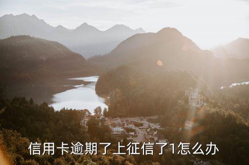 信用卡逾期了上征信了1怎么辦