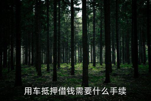貸款的車抵押什么手續(xù)怎么辦，別人跟我借錢把車抵押給我應(yīng)該辦什么手續(xù)