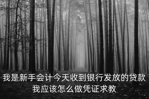 我是新手會計今天收到銀行發(fā)放的貸款我應(yīng)該怎么做憑證求教