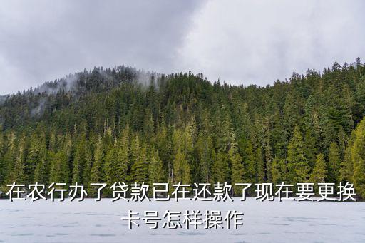 在農(nóng)行辦了貸款已在還款了現(xiàn)在要更換卡號怎樣操作