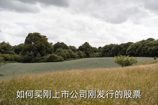 如何買剛上市公司剛發(fā)行的股票