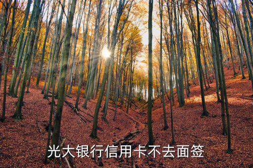 光大面簽沒去怎么辦，光大銀行信用卡不去面簽可以