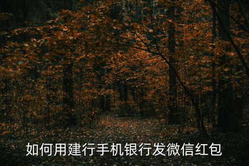 如何用建行手機(jī)銀行發(fā)微信紅包