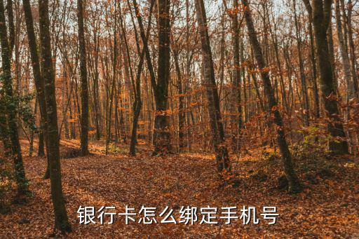怎么讓銀行卡綁定手機(jī)，銀行卡怎么綁定手機(jī)號(hào)