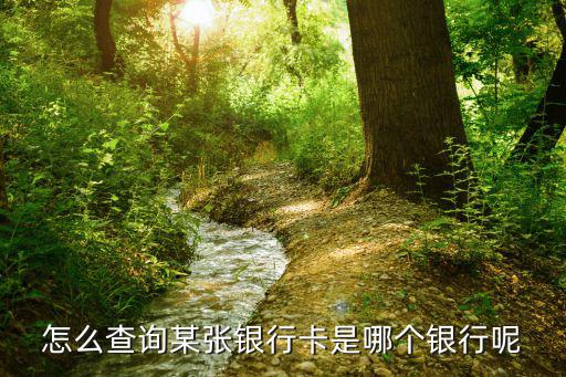 怎么查詢某張銀行卡是哪個(gè)銀行呢