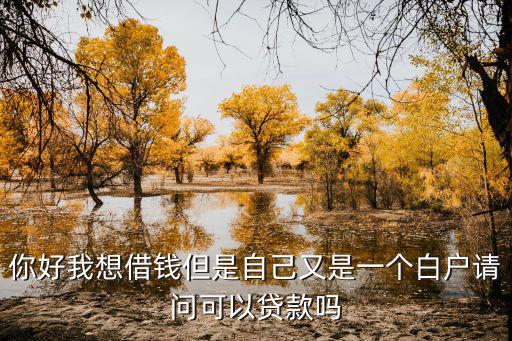 你好我想借錢但是自己又是一個(gè)白戶請(qǐng)問可以貸款嗎