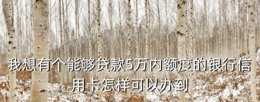 辦有貸款銀行的信用卡怎么辦理，銀行有貸款可以辦信用卡嗎
