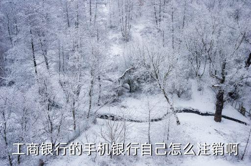 怎么注銷工商銀行手機(jī)銀行卡，如何通過(guò)工行手機(jī)銀行注銷如意金賬戶