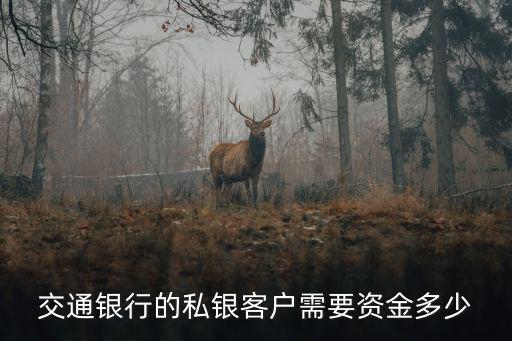 怎么做私銀客戶，工行私人銀行客戶要什么標(biāo)準(zhǔn)才能辦理