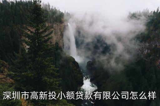 深圳市高新投小額貸款有限公司怎么樣