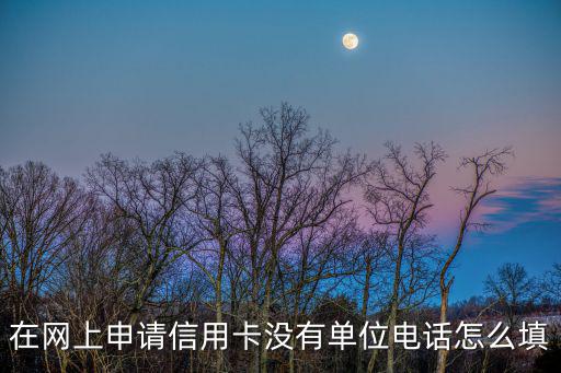 在網(wǎng)上申請信用卡沒有單位電話怎么填