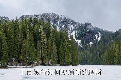 工商銀行如何取消預(yù)約理財(cái)