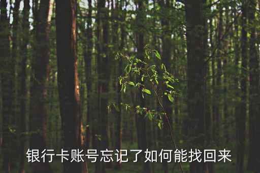 銀行卡賬號(hào)忘記了如何能找回來(lái)