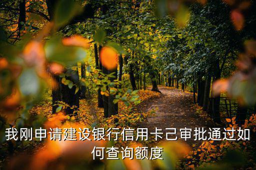 我剛申請建設(shè)銀行信用卡己審批通過如何查詢額度