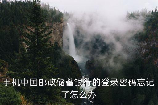 手機(jī)中國郵政儲蓄銀行的登錄密碼忘記了怎么辦