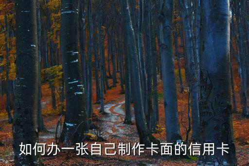 怎么辦理興業(yè)diy信用卡，如何辦一張自己制作卡面的信用卡