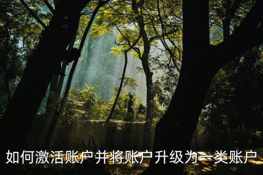 如何激活賬戶并將賬戶升級為一類賬戶