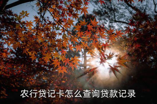 怎么查農(nóng)業(yè)的貸款，怎么查詢農(nóng)行貸款余額