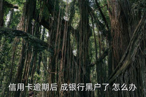 信用卡逾期后 成銀行黑戶了 怎么辦