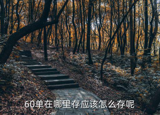 60單在哪里存應該怎么存呢