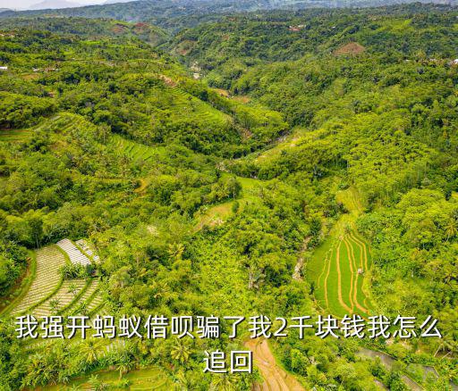 強(qiáng)開借唄被騙了怎么辦，我強(qiáng)開螞蟻借唄騙了我2千塊錢我怎么追回