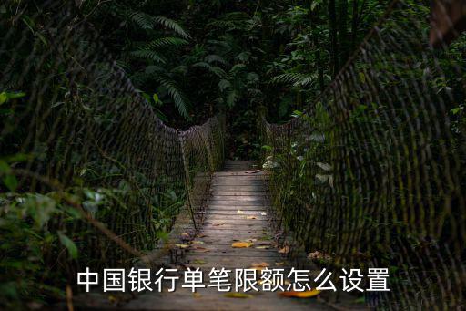 中國銀行單筆限額怎么設(shè)置