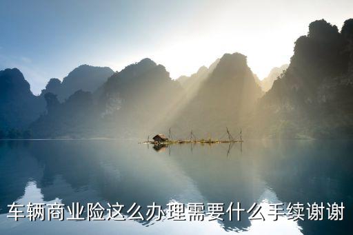 車輛商業(yè)險(xiǎn)這么辦理需要什么手續(xù)謝謝