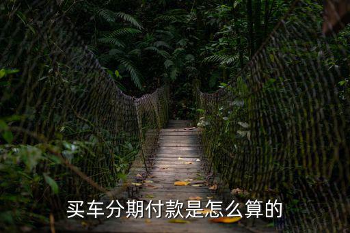 買車分期付款是怎么算的