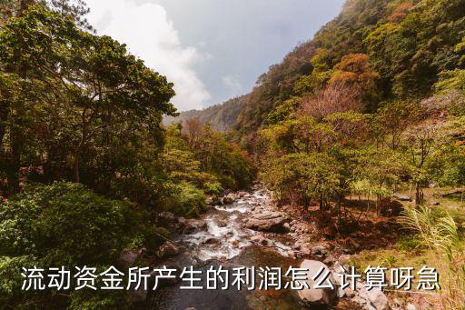 流動資金所產(chǎn)生的利潤怎么計算呀急
