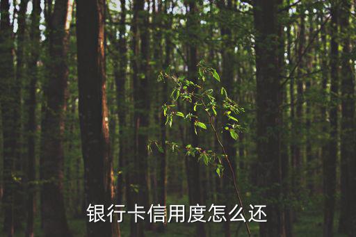 信用度服務怎么還，信用度如何恢復