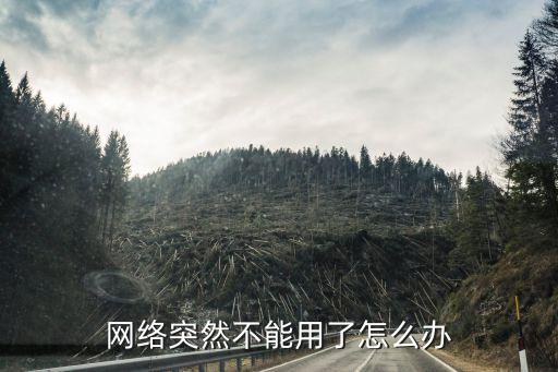 網(wǎng)絡(luò)還在用不了怎么辦，網(wǎng)絡(luò)不可用怎么辦