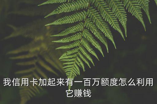 我信用卡加起來有一百萬額度怎么利用它賺錢