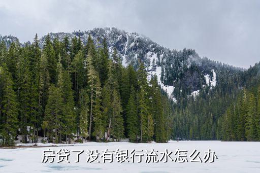 房貸沒流水賬怎么辦，房貸了沒有銀行流水怎么辦