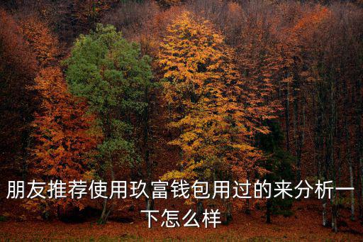 怎么向玖富錢包存錢，玖富錢包有銀行資金存管沒有