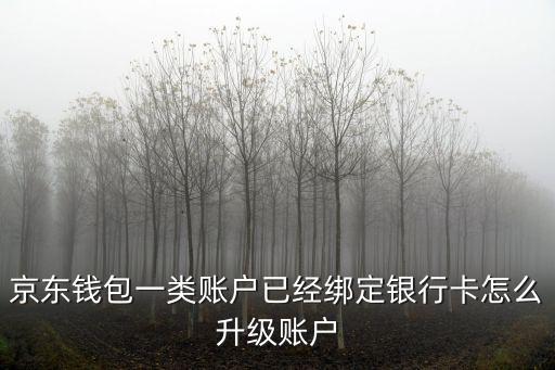 京東錢包一類賬戶已經(jīng)綁定銀行卡怎么升級賬戶
