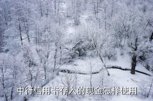 中行信用卡存入的現(xiàn)金怎樣使用