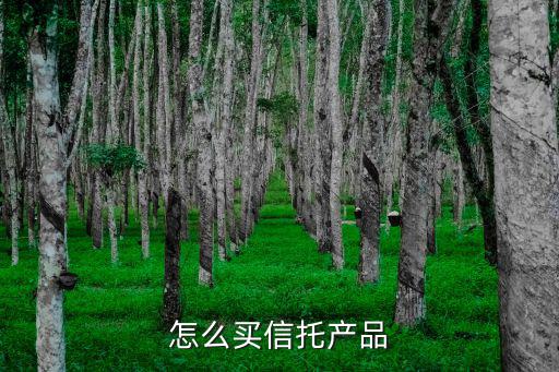 銀行信托產品怎么購買，如何購買信托產品
