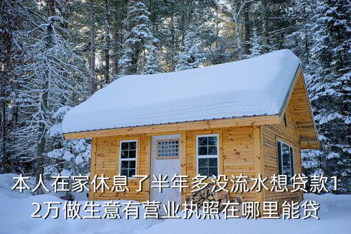本人在家休息了半年多沒流水想貸款12萬做生意有營業(yè)執(zhí)照在哪里能貸
