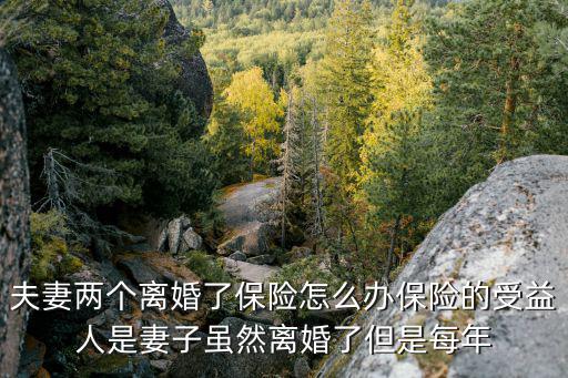 夫妻離婚保險(xiǎn)怎么辦理手續(xù)，夫妻兩個(gè)離婚了保險(xiǎn)怎么辦保險(xiǎn)的受益人是妻子雖然離婚了但是每年