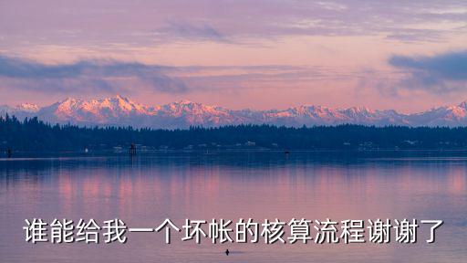 銀行壞賬怎么做的，壞賬應(yīng)該如何做會(huì)計(jì)分錄