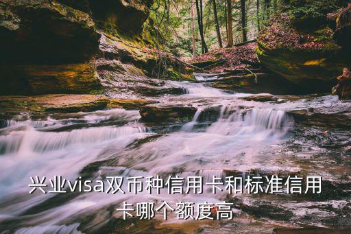 興業(yè)雙幣種信用卡怎么樣，興業(yè)visa雙幣種信用卡和標(biāo)準(zhǔn)信用卡哪個(gè)額度高
