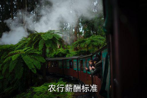 農(nóng)行薪酬標(biāo)準(zhǔn)