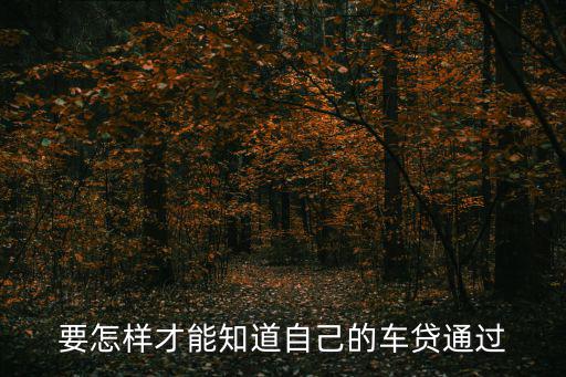 怎么查建行車貸進(jìn)度，建行貸款進(jìn)度查詢